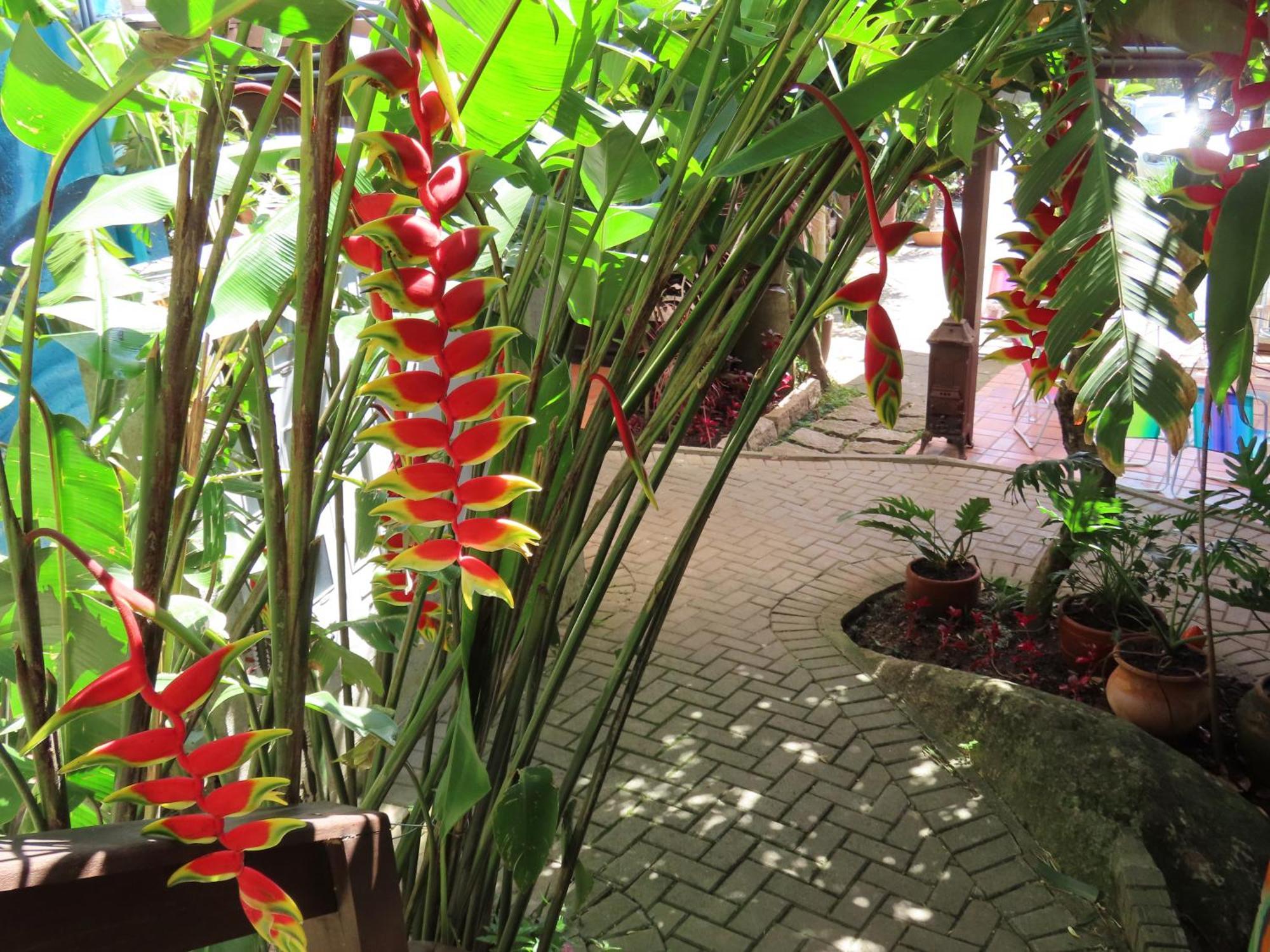 Patio Floriparadise Florianópolis Εξωτερικό φωτογραφία